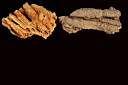 stalactites & stalagmites0003.jpg